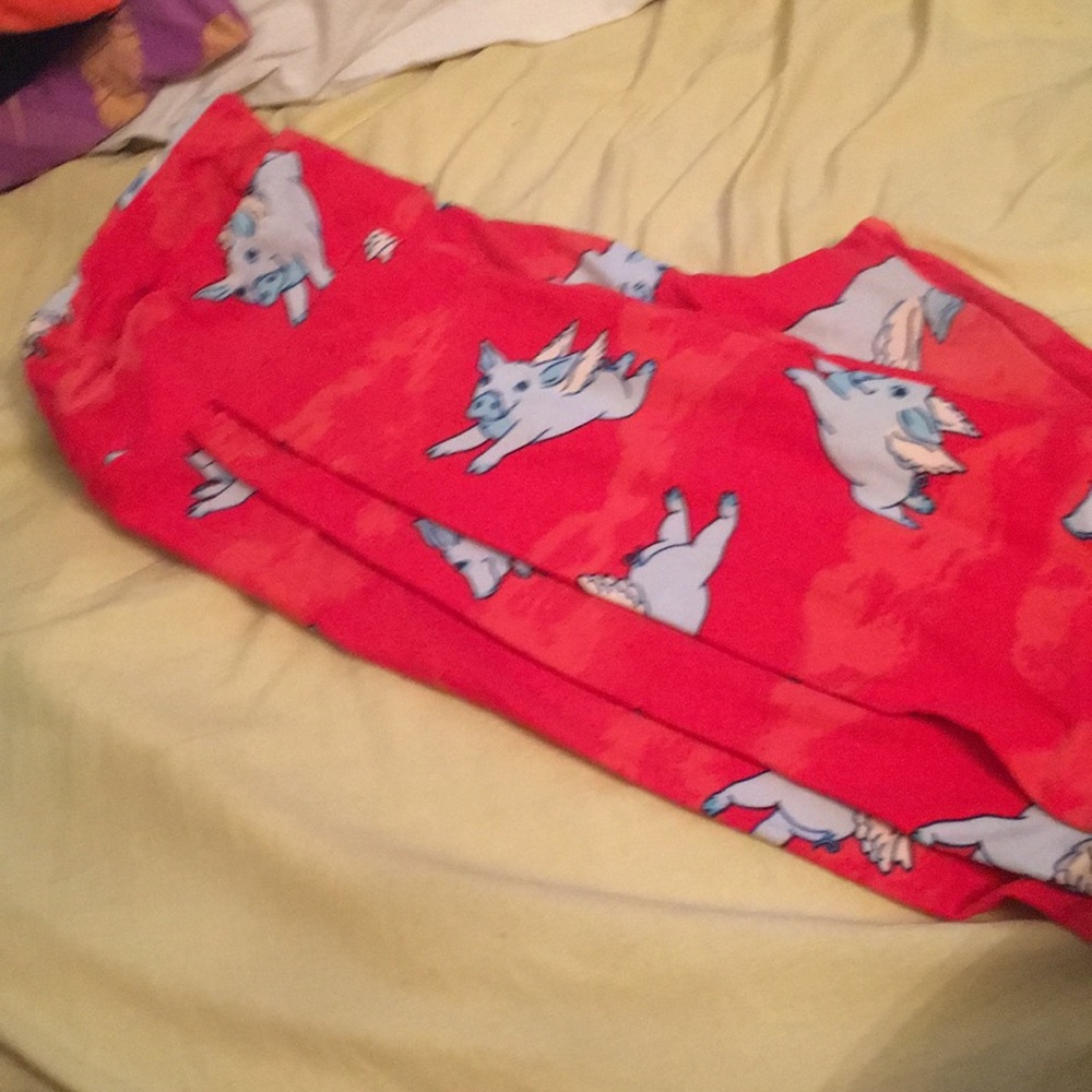 Lularoe leggings! Cute pig 🐖 print